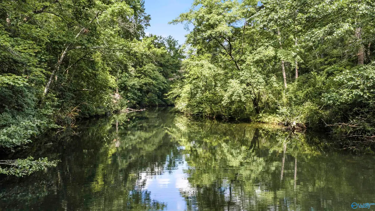14.5 Road 948, Mentone, AL 35984 - #1