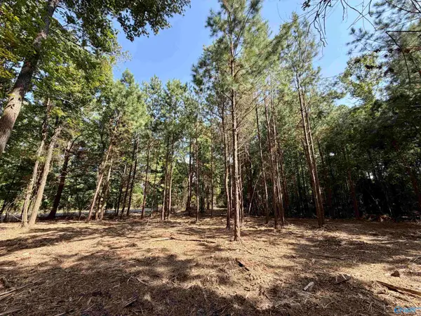 5 Acres +/- Oakland Drive, Gadsden, AL 35901