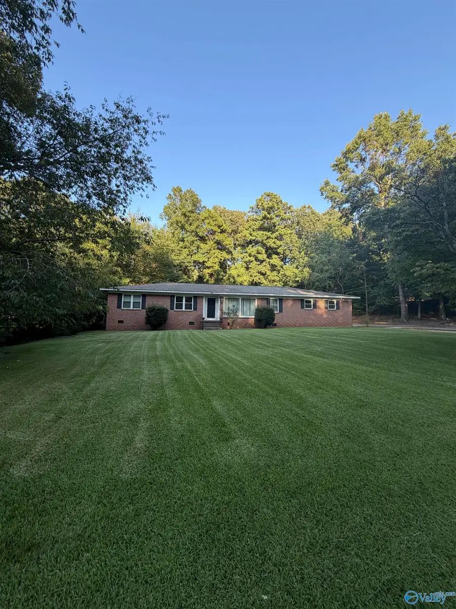 325 4th Avenue E, Glencoe, AL 35905 - #3