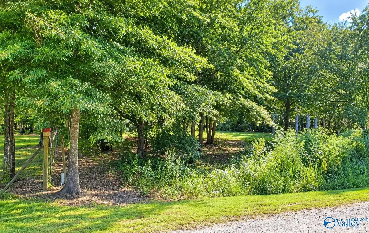 Lot 171 County Road 1011, Centre, AL 35960 - #1