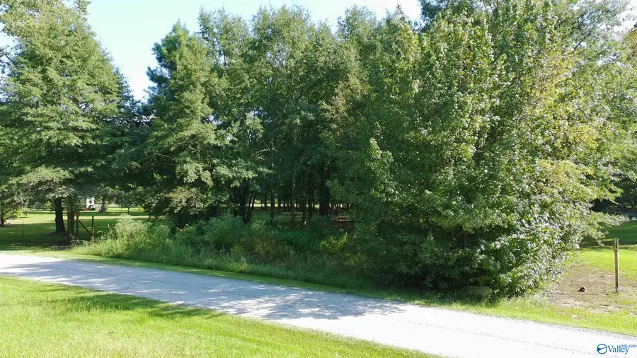 Lot 171 County Road 1011, Centre, AL 35960 - #3
