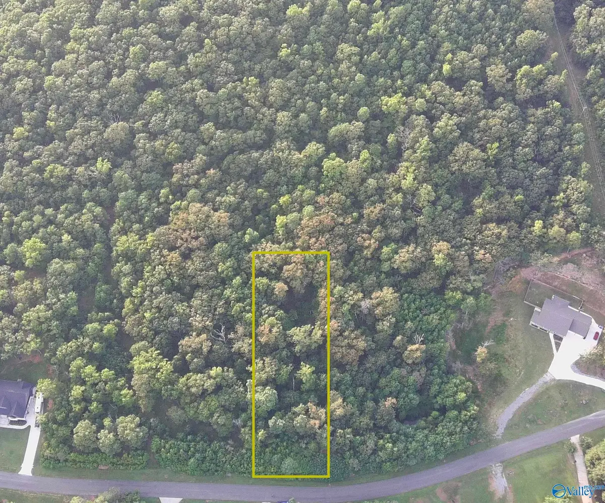 166 Lookout Mountain Drive, Scottsboro, AL 35769 - #1