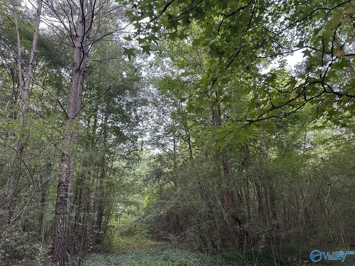 001 Skyball Road, Blountsville, AL 35031 - #1