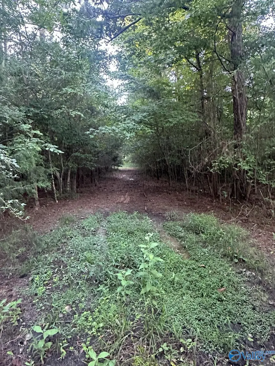 001 Skyball Road, Blountsville, AL 35031 - #2