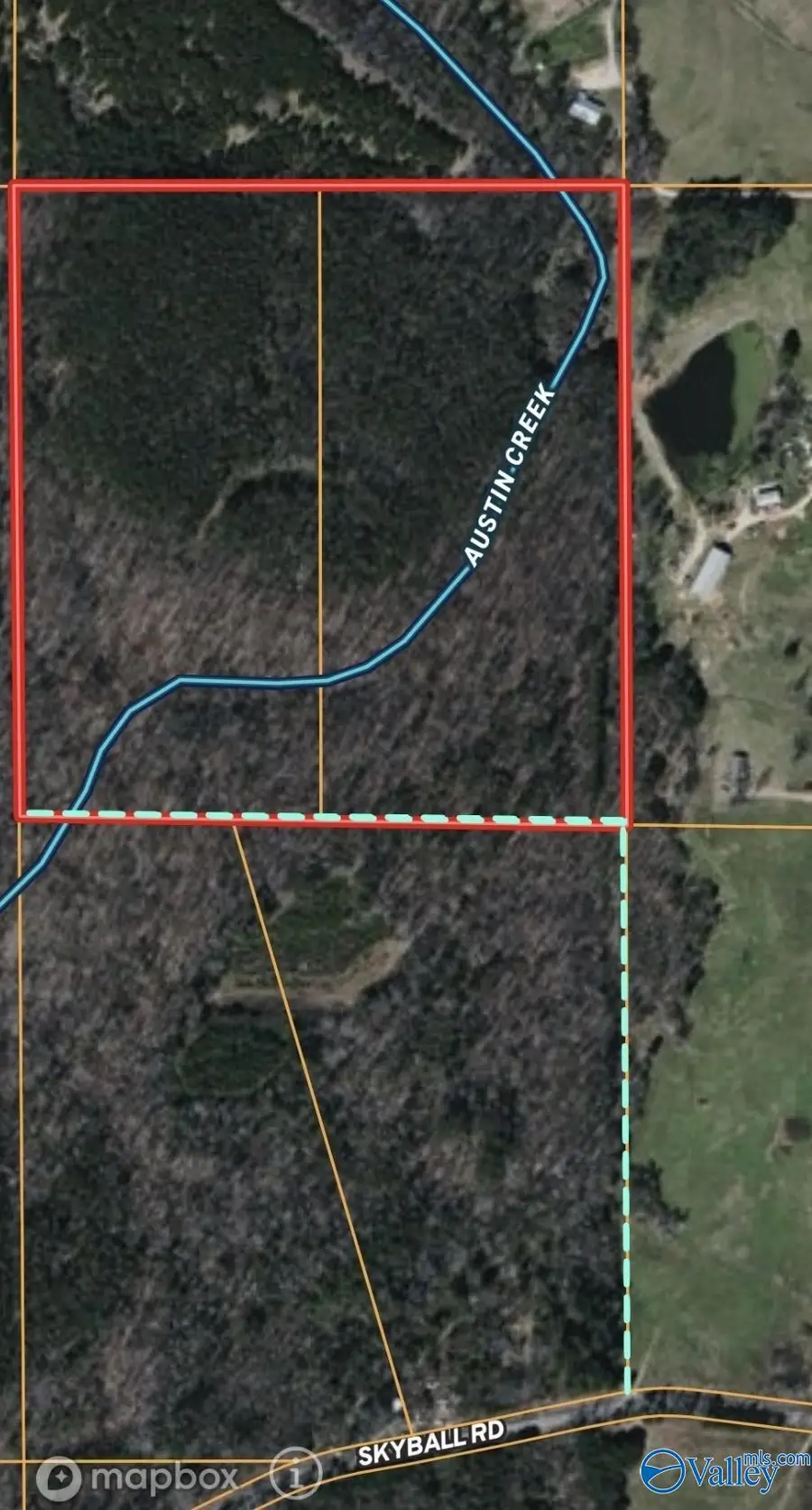 001 Skyball Road, Blountsville, AL 35031 - #3