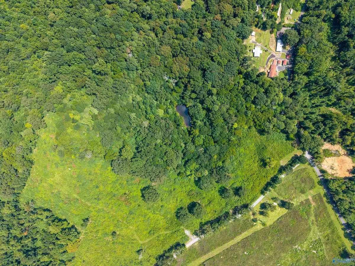 18 Acres Aldridge Gap Road, Guntersville, AL 35976 - #1