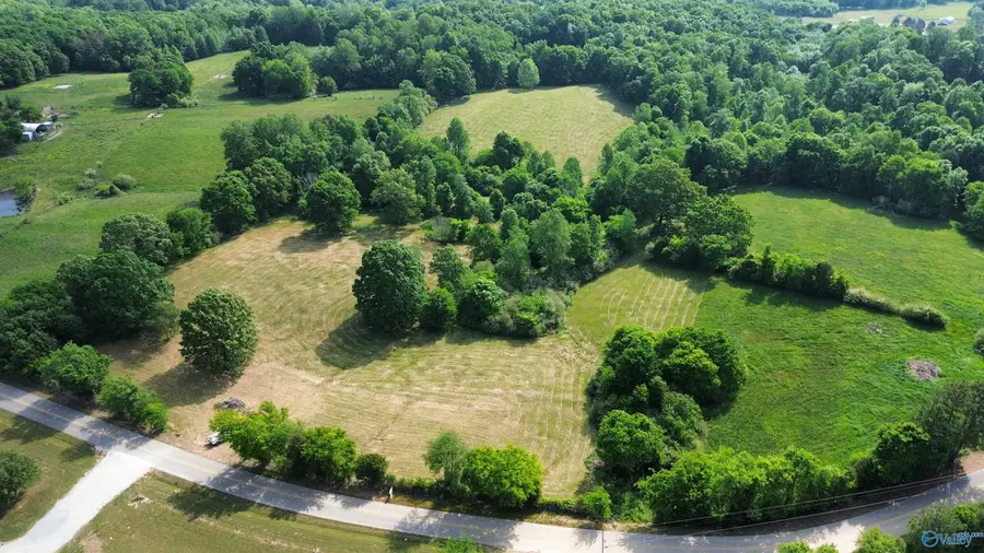 16.58 County Road 656, Anderson, AL 35610 - #3