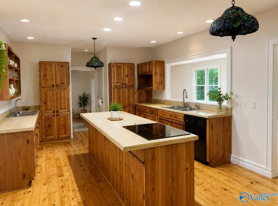 2151 Shady Grove Road, Piedmont, AL 36272 - #3