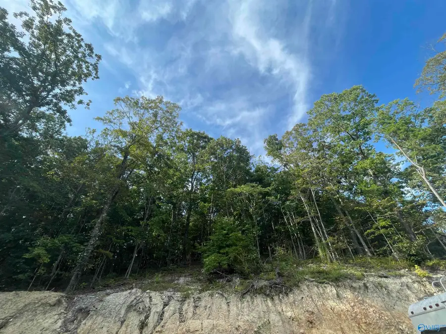 797 Dripping Rock Road, Piedmont, AL 36272 - #2