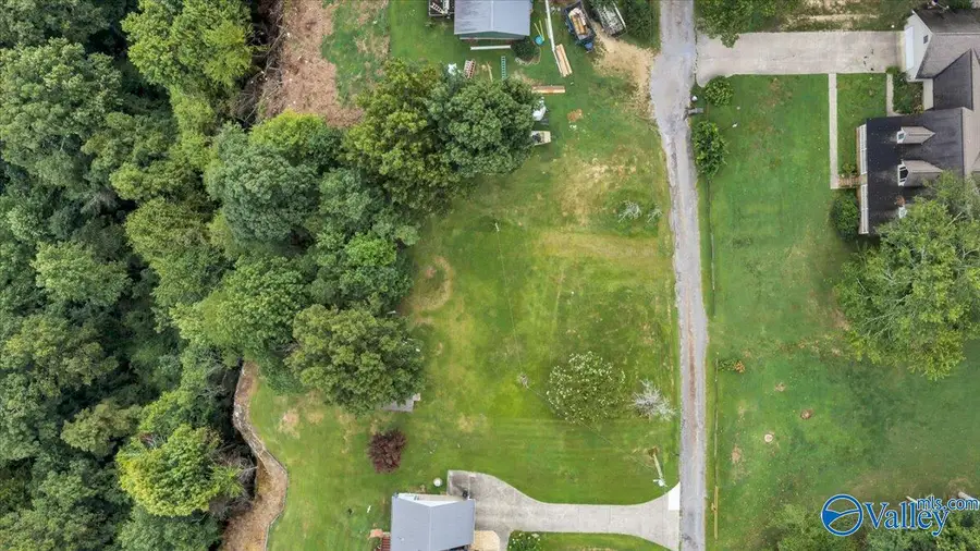 Lot County Road 223, Dutton, AL 35744 - #3