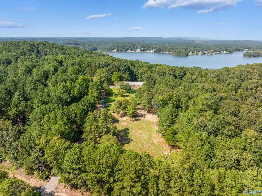 5124 County Road 147, Leesburg, AL 35983 - #3