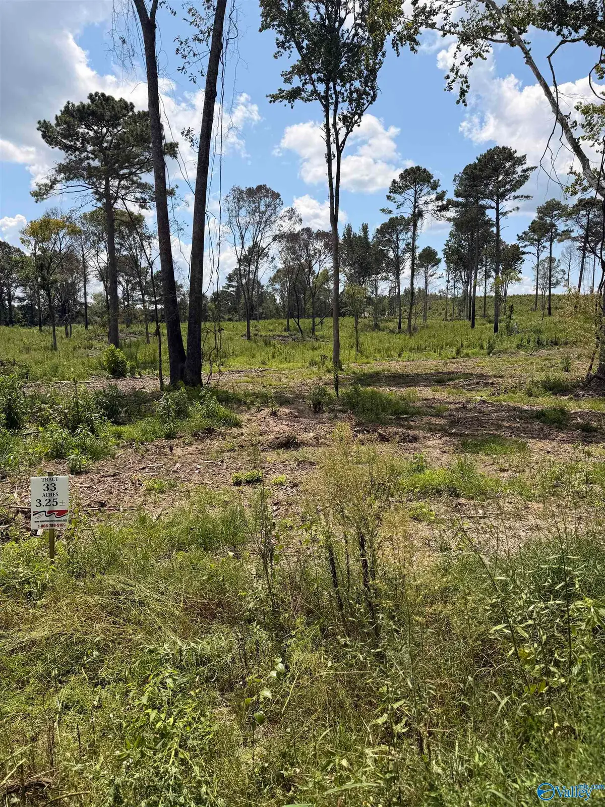 Lot 33 County Road 158, Centre, AL 35960 - #1