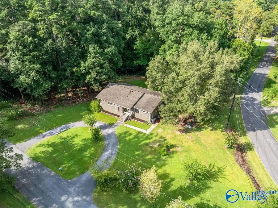 3878 Lake Hill Drive, Southside, AL 35907 - #2