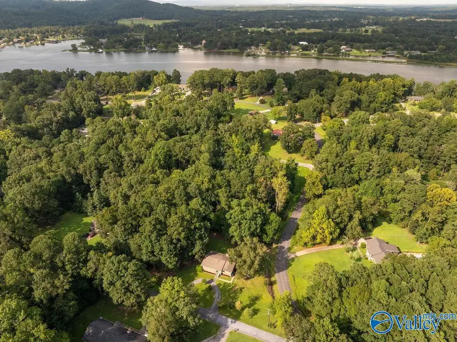 3878 Lake Hill Drive, Southside, AL 35907 - #3