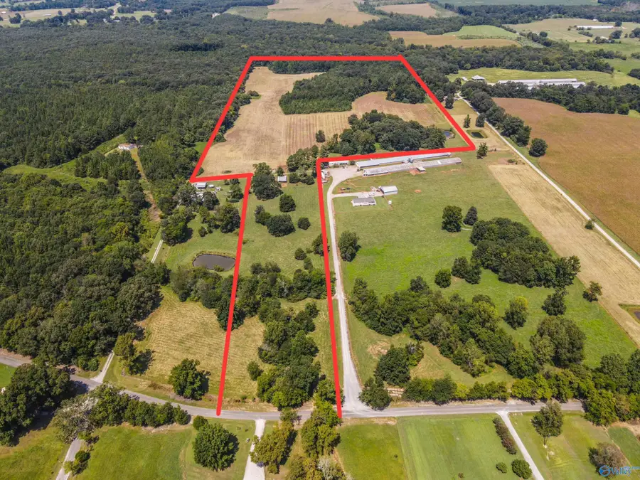 1701 County Road 168, Moulton, AL 35650 - #3