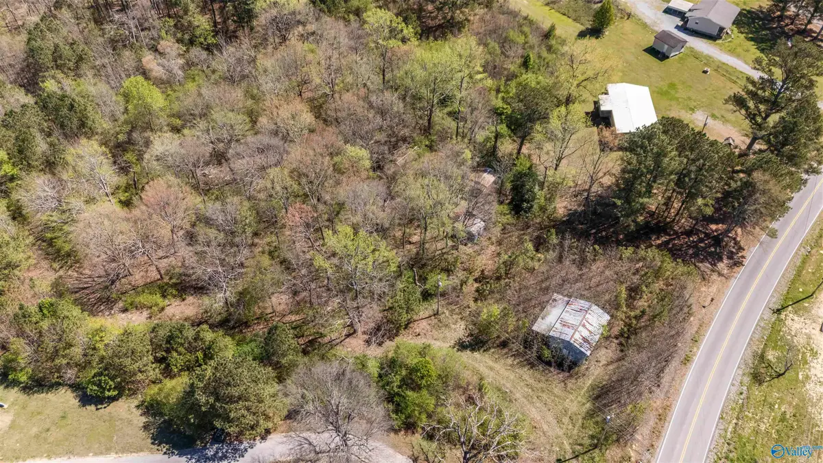14.52AC County Road 1212, Vinemont, AL 35179 - #1