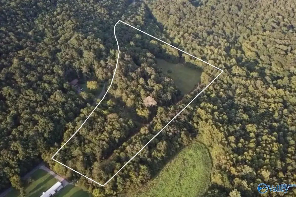 940 Bud Bryant Road, Woodville, AL 35776 - #1