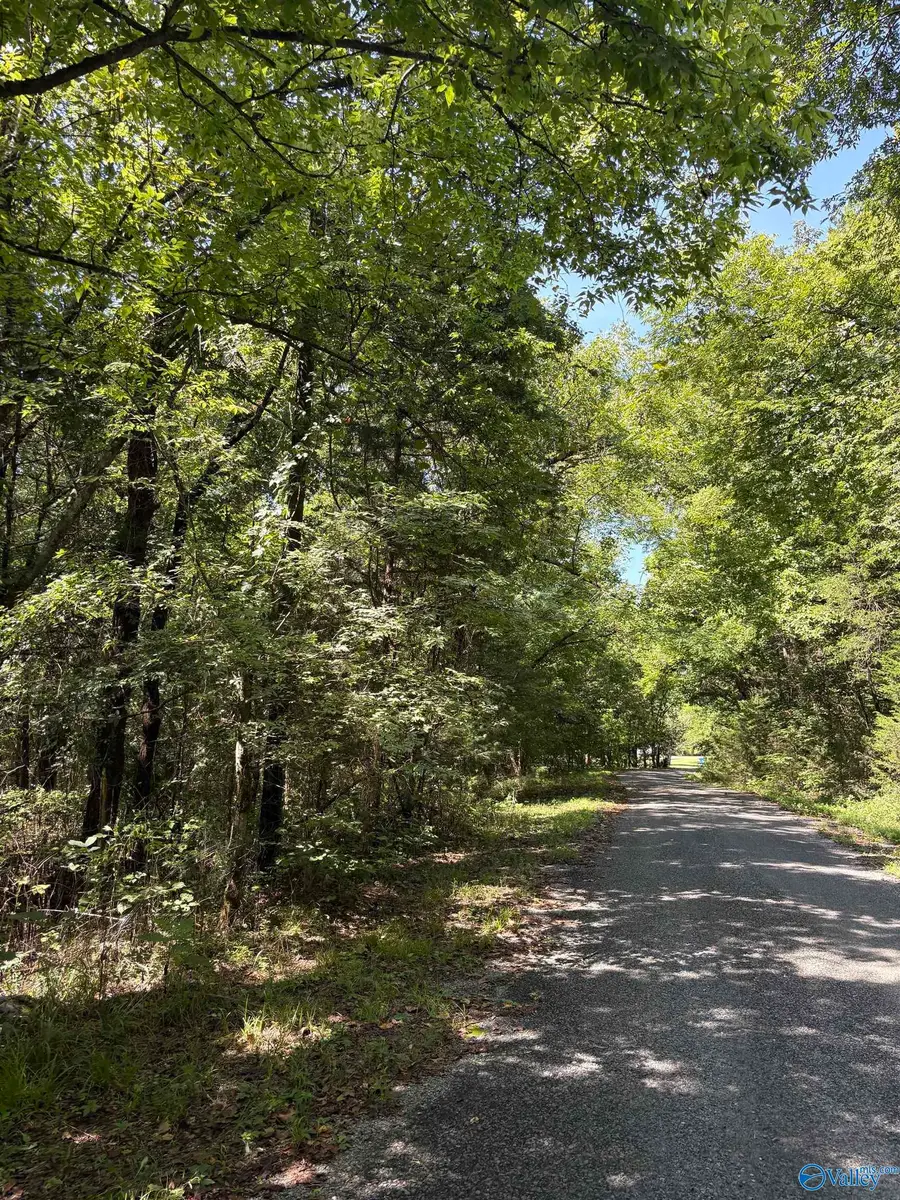 940 Bud Bryant Road, Woodville, AL 35776 - #2