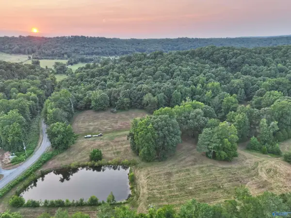 167 AC County Road 608, Valley Head, AL 35989