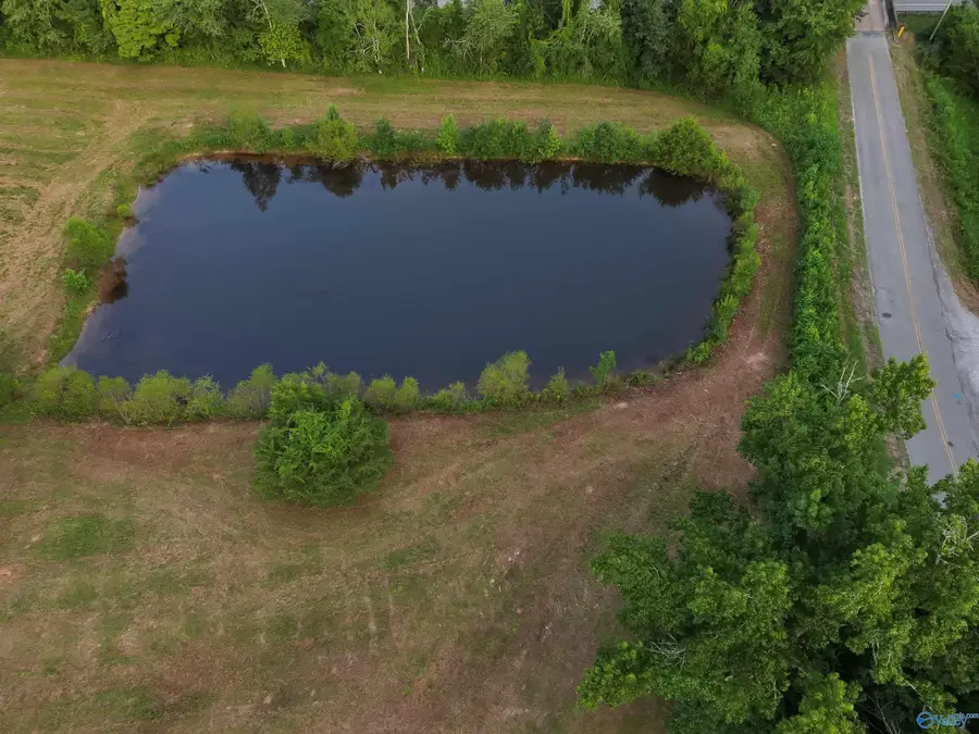 167 AC County Road 608, Valley Head, AL 35989 - #2