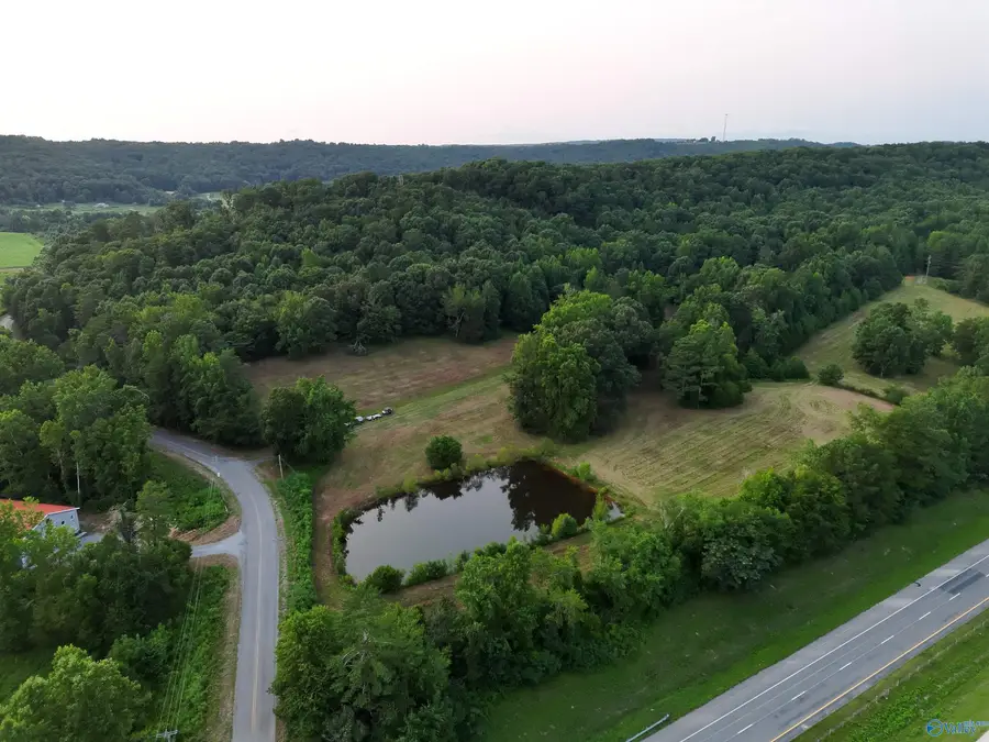 167 AC County Road 608, Valley Head, AL 35989 - #3