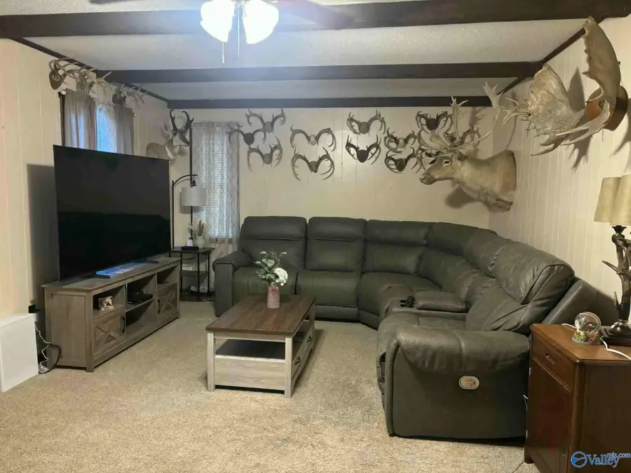 7667 Alabama Highway 33, Moulton, AL 35650 - #3