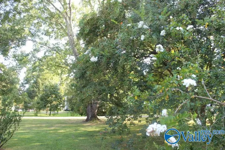 44 Newman Street, Collinsville, AL 35981 - #2