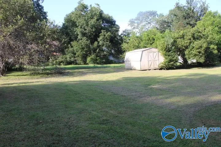 44 Newman Street, Collinsville, AL 35981 - #3