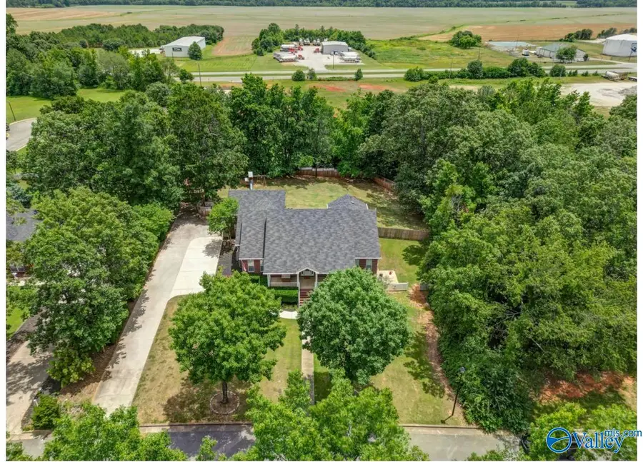 11132 John Pugh Road, Tanner, AL 35671 - #3