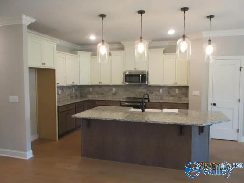 104 Tara Drive, Huntsville, AL 35811 - #3