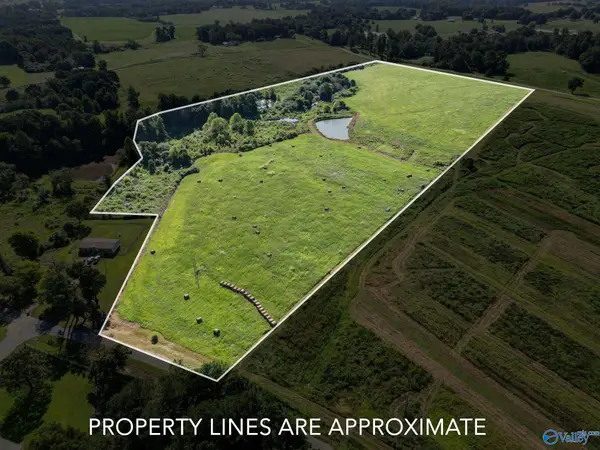 27.5 ACRES Cherokee Drive, Horton, AL 35980