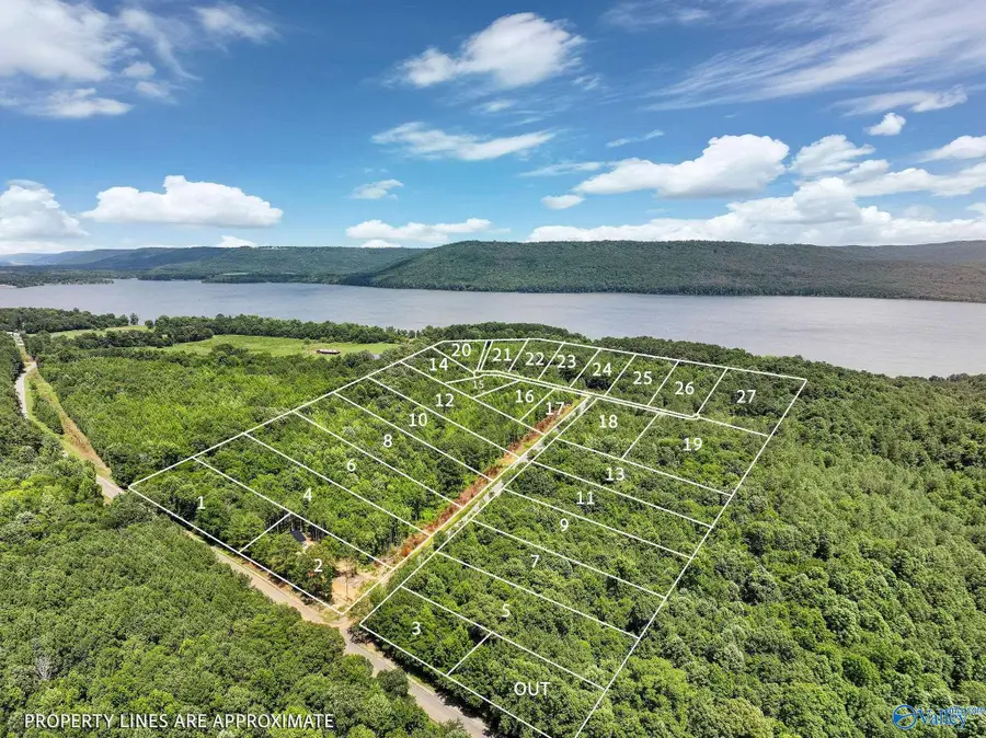 Lot 1 1.4 Acres Durham Road, Langston, AL 35755 - #2