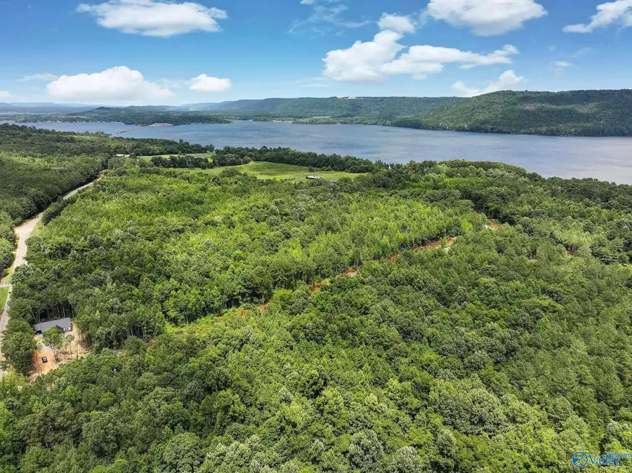 Lot 1 1.4 Acres Durham Road, Langston, AL 35755 - #3