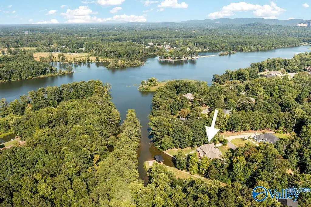 233 River Ridge Road, Gadsden, AL 35901 - #1