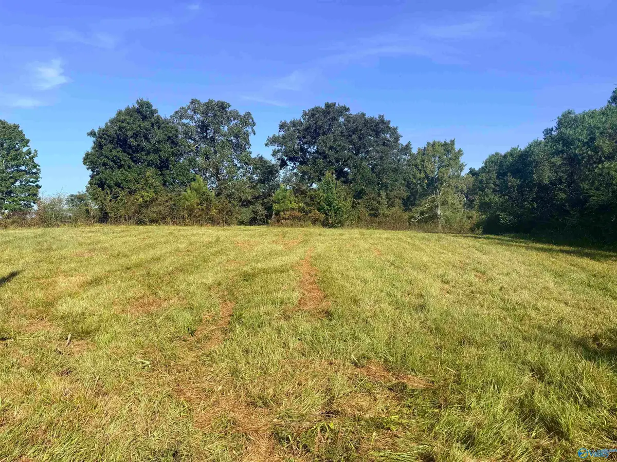 Lot 31 County Road 158, Centre, AL 35960 - #1