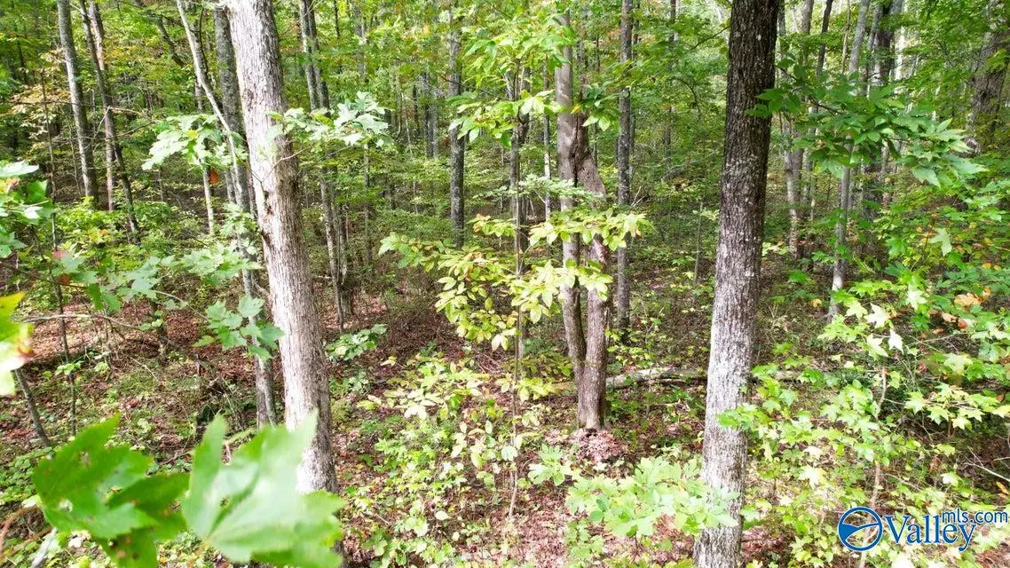 4.16 Acres N Stewart Lane, Rising Fawn, GA 30738 - #1