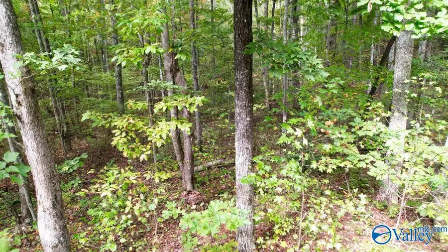 4.16 Acres N Stewart Lane, Rising Fawn, GA 30738 - #3