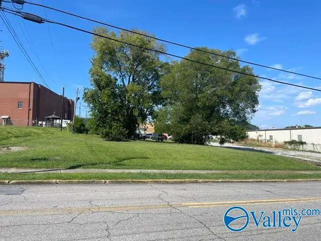 .26 ac Chestnut Street, Gadsden, AL 35901 - #3