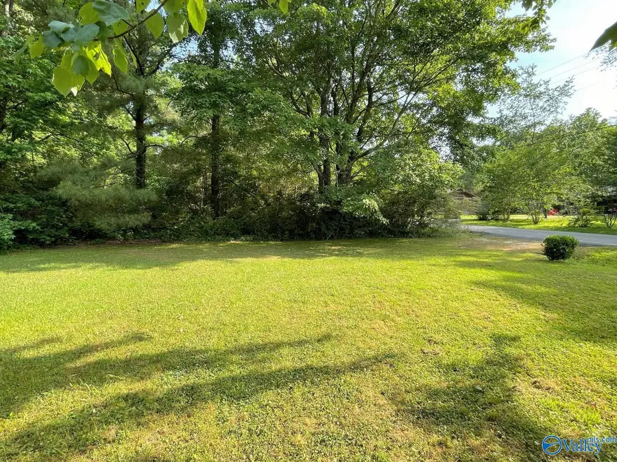 160 Guy Wilson Road, Hazel Green, AL 35750 - #3