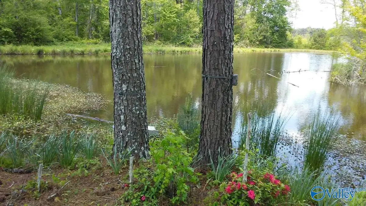 193AC County Road 1069, Vinemont, AL 35179 - #1