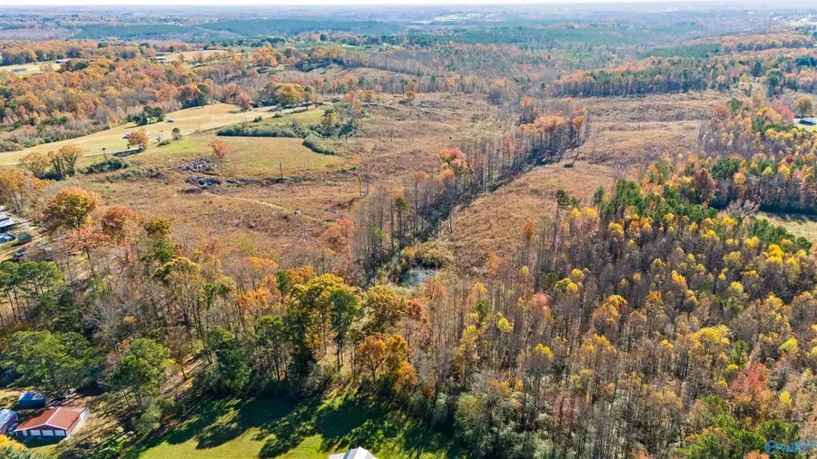 193AC County Road 1069, Vinemont, AL 35179 - #3