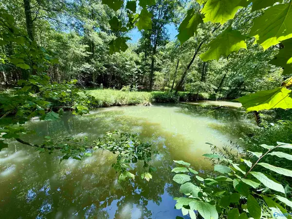 126 AC County Road 97, Gaylesville, AL 35973