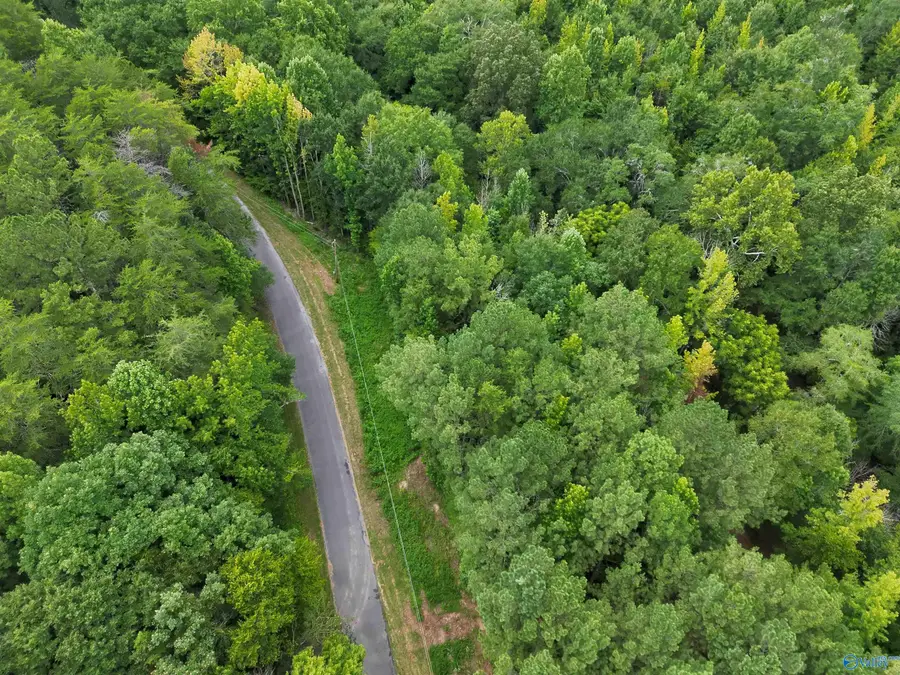 126 AC County Road 97, Gaylesville, AL 35973 - #2