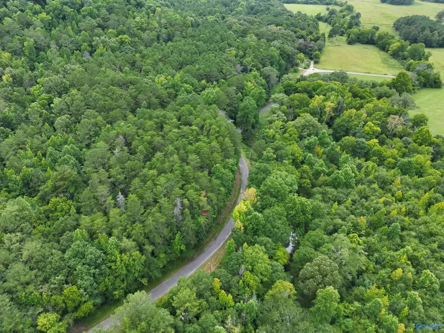 126 AC County Road 97, Gaylesville, AL 35973 - #3