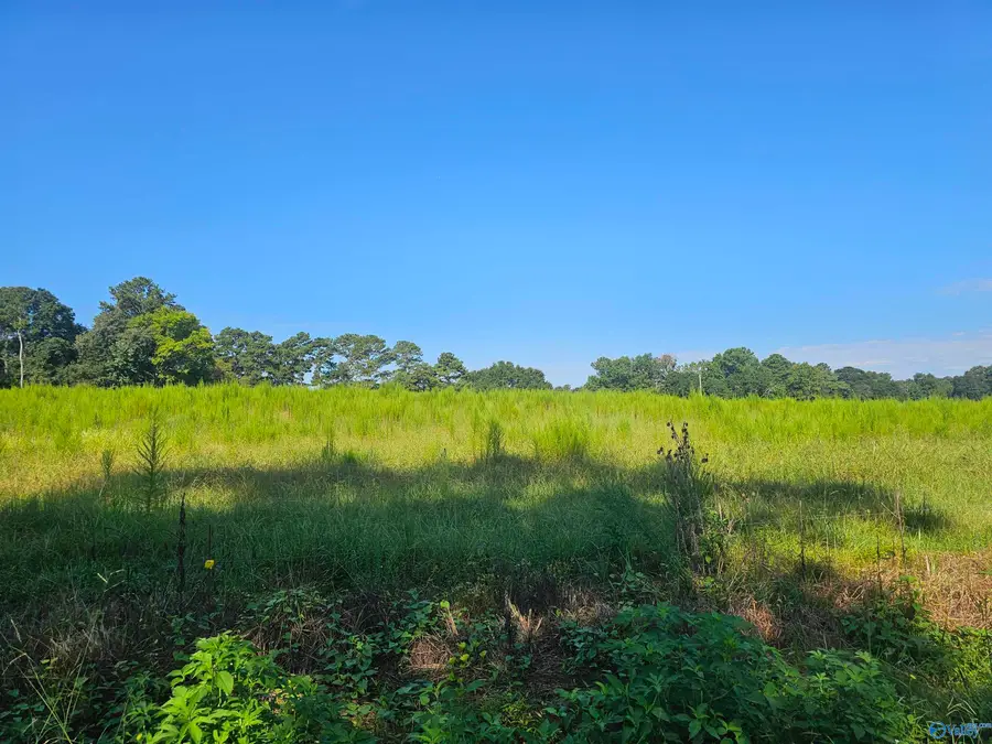 23 Bridge Road, Arab, AL 35016 - #2