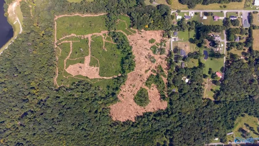 Lot #2 County Road 519, Moulton, AL 35650 - #3