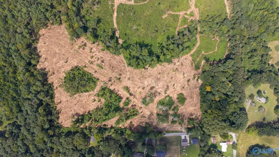 Lot #5 County Road 519, Moulton, AL 35650 - #2