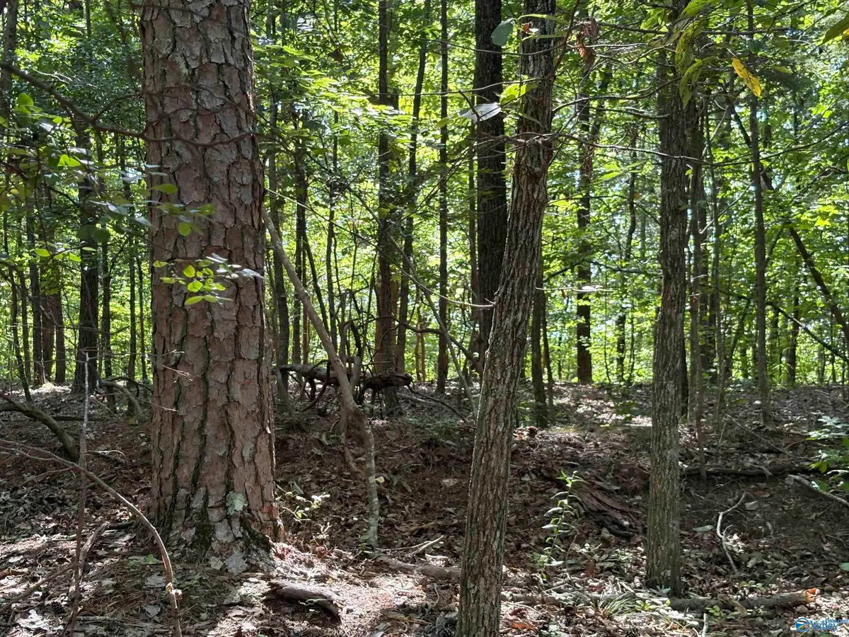 1500 County Highway 103 #Lot 52, Mentone, AL 35984 - #1