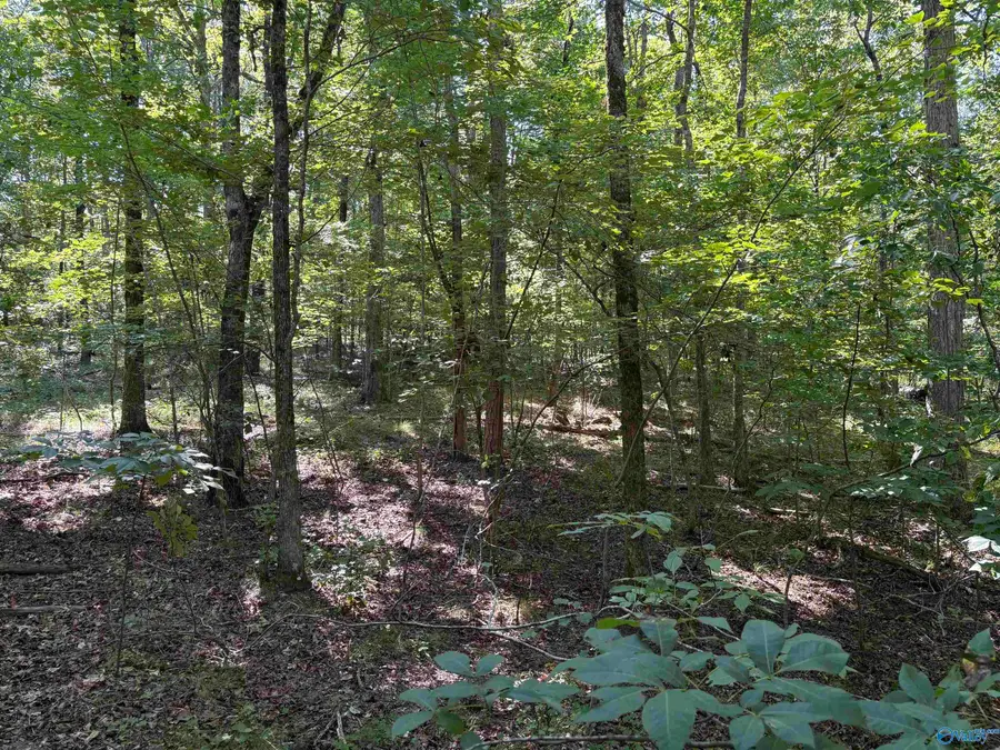 1500 County Highway 103 #Lot 52, Mentone, AL 35984 - #2