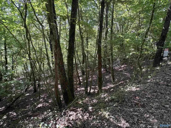 1500 County Road 103 #Lot 53, Mentone, AL 35984